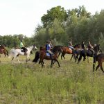 Reiterprobe in Bergheim | by Harald Schlusnus